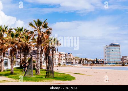 Prairie paysagée avec palmiers sur la plage de Los Cárabos. Plage Pavillon bleu. L’emblématique drapeau bleu est l’un des prix volontaires les plus reconnus au monde Banque D'Images