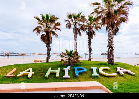 Prairie paysagée avec palmiers sur la plage de la hípica. Plage Pavillon bleu. L’emblématique drapeau bleu est l’un des prix volontaires les plus reconnus au monde Banque D'Images