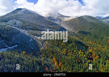 La première neige est tombée sur la forêt d'automne, tempête froide sous le feuillage jaune. Photo d'oiseau-oeil prise avec un drone Banque D'Images