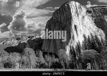 El Capitan à Springtime dans le parc national de Yosemite Banque D'Images