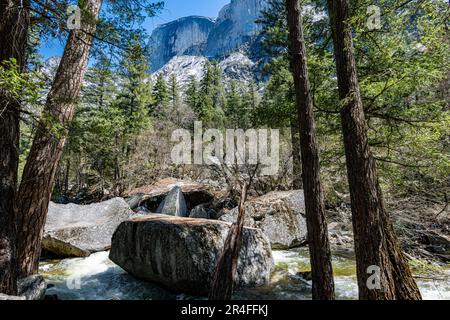 Half Dome à Springtime dans le parc national de Yosemite Banque D'Images