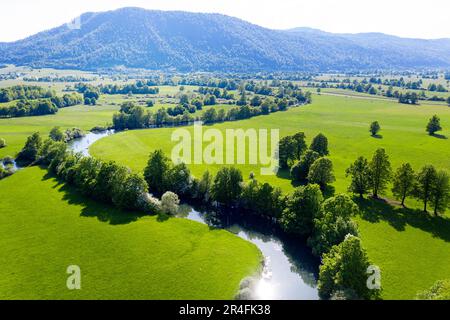 Vue aérienne d'une rivière sinueuse spectaculaire Unica par une belle journée d'été, entourée d'une forêt luxuriante, près du karst Planina Polje, Slovénie Banque D'Images
