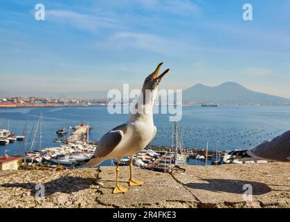 Mouette sur le mur du château d'œufs Castel dell Ovo avec vue panoramique sur le Vésuve à Naples, Campanie, Italie, Europe. Ferries dans le port de NAP Banque D'Images