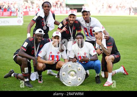 Mathys tel of FC Bayern Muenchen Jamal Musiala of Bayern Muenchen Noussair Mazraoui of FC Bayern Muenchen Physiotherapeut Tobias Adams TSV 1860 MŸnchen Ryan Gravenberch of FC Bayern Muenchen Joao Cancelo of FC Bayern Muenchen mit Meisterschale Deutscher Meister 2023 FC Bayern MŸnchen feiert Fussball 1 . Bundesliga saison 2022 / 2023 1. FC Kšln Koeln - FC Bayern MŸnchen fêtez après la fin de la saison en tant que champions de Bundesliga © diebilderwelt / Alay stock Banque D'Images