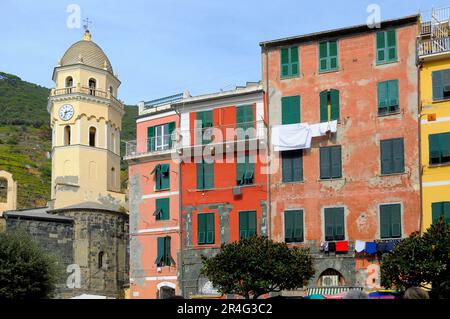 Vernazza, Cinque Terre, centre au port, église, Italie, Italie, Ligurie, Riviera di Levante Banque D'Images