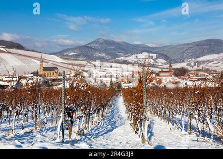 Vue sur Birkweiler en hiver Banque D'Images