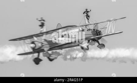 Festival de la mer de Bangor Wingwalkers Banque D'Images