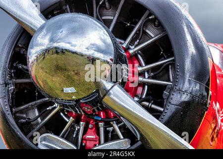 Close up de la Rockette rouge Banque D'Images