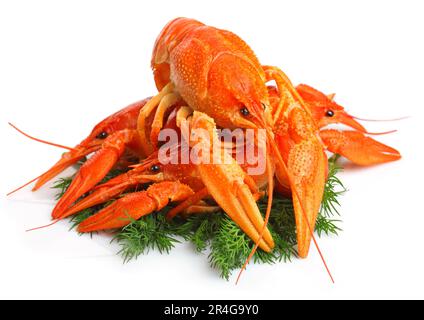 Groupe de homards rouges avec garniture isolée sur fond blanc Banque D'Images