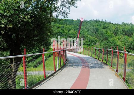 Pont Dragon, Hoheward slag heap, parc paysager, Herten, Ruhr, Rhénanie-du-Nord-Westphalie, Allemagne Banque D'Images