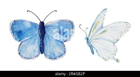 Collection de papillons bleus aquarelles, éléments de papillons vectoriels sur fond blanc. Illustration papillon adapté à la décoration dans votre conception. Illustration de Vecteur