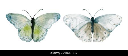 Aquarelle vert terre tons collection de papillons, éléments de papillons vectoriels sur fond blanc. Illustration papillon adapté à la décoration dans Illustration de Vecteur