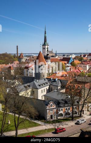 La vieille ville de Tallinn ou les toits de Vanalinn vus depuis la plate-forme d'observation de Patkuli à Tallinn, Estonie Banque D'Images