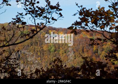 Vue sur la vallée de la Bode depuis l'Hexentanzplatz avec des couleurs de feuillage automnales Banque D'Images