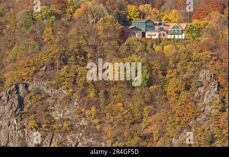 Vue sur la vallée de la Bode depuis l'Hexentanzplatz avec des couleurs de feuillage automnales Banque D'Images