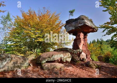 Monument naturel de la Table du diable, Forêt du Palatinat, Rhénanie-Palatinat, Allemagne Banque D'Images