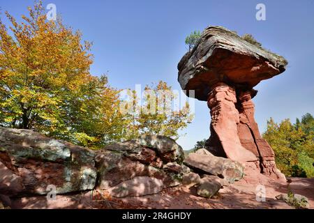 Monument naturel de la Table du diable, Forêt du Palatinat, Rhénanie-Palatinat, Allemagne Banque D'Images