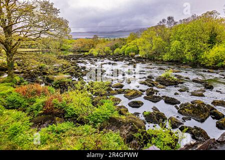 Rivière Caragh à Blackstones Bridge, Glencanane, comté de Kerry, Irlande Banque D'Images