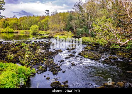 Rivière Caragh à Blackstones Bridge, Glencanane, comté de Kerry, Irlande Banque D'Images