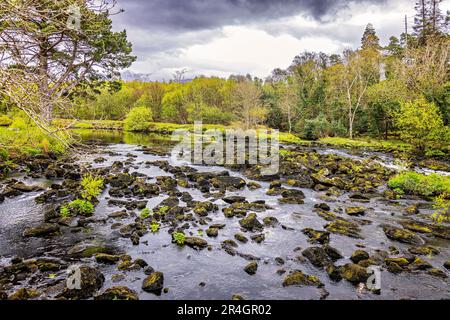 Rivière Caragh à Blackstones Bridge, Glencanane, comté de Kerry, Irlande Banque D'Images