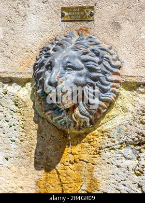 Bec d'eau de la tête du lion sur la fontaine de la rue - Tours, Indre-et-Loire (37), France. Banque D'Images