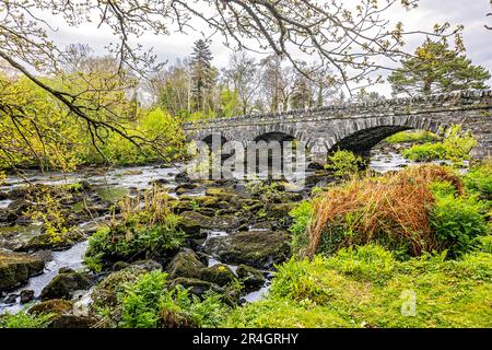 Rivière Caragh à Blackstones Bridge, Glencanane, comté de Kerry, Irlande Banque D'Images