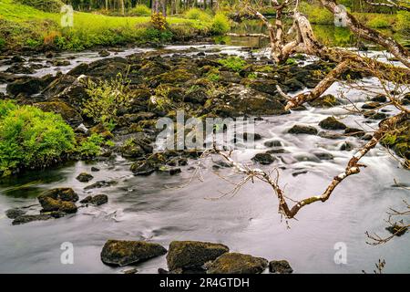 Rivière Caragh à Blackstones Bridge, Glencanane, comté de Kerry, Irlande Banque D'Images