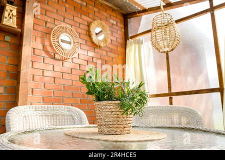 Mélange de plantes de repos de moustiquaire poussant dans la fleur pot à l'extérieur dans le balcon. Herbes aromatiques romarin, sauge et menthe poivrée qui poussent et repoussent les insectes. Banque D'Images