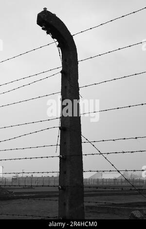 Image en noir et blanc de l'escrime à barbelés à la maison d'Auschwitz II-Birkenau. Pologne Europe. Banque D'Images