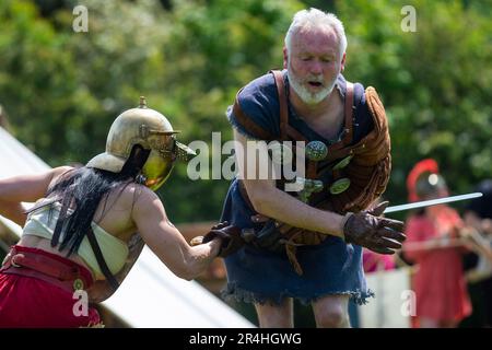 Chalfont, Royaume-Uni. 28 mai 2023. Les gladiateurs participent aux Jeux de gladiateurs au Chiltern Open Air Museum. Mis à vie par Britannia, l'un des plus grands (et plus anciens) groupes romains de reconstitution de l'U.K, les ré-acteurs montrent la vie en Grande-Bretagne romaine dans le 1st siècle après J.-C. Chiltern Open Air Museum raconte l'histoire de la région de Chilterns par la préservation de bâtiments historiques, de paysages et de culture. Credit: Stephen Chung / Alamy Live News Banque D'Images