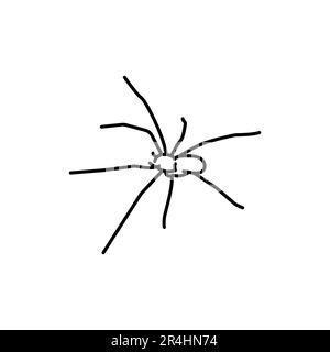 Araignée brune inclinée icône de ligne noire. Illustration de Vecteur