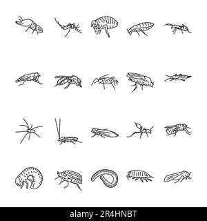 Icône de la ligne noire des insectes nuisibles. Illustration de Vecteur