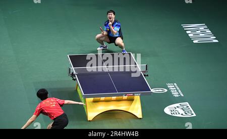 Durban, Afrique du Sud. 28th mai 2023. Le Fan Zhendong (R) de Chine célèbre lors du match final des célibataires hommes contre son compatriote Wang Chuqin lors des finales des Championnats du monde de tennis de table 2023 de l'ITTF à Durban, en Afrique du Sud, en 28 mai 2023. Crédit: Li Yahui/Xinhua/Alamy Live News Banque D'Images