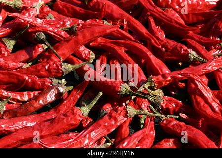 Gros plans de piments rouges (Chili) dans un fond texturé Banque D'Images