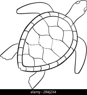 Ensemble vectoriel de tortues de style dessin animé . Illustration de caractère animal pour les enfants. Dessins de ligne dessinés à la main de Funny Turtles. Grande collection de tortues Illustration de Vecteur