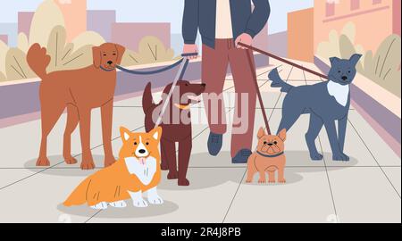 Marcheur pour chiens et sitter. Personne marchant chiens dans la ville, promenade en ville avec groupe d'animaux de compagnie. Travail ou affaires, amitié. Animaux dans la ville kicky scène de vecteur Illustration de Vecteur