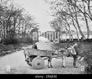 Un chariot à roues de bloc fin de 19th siècle, un retour à l'époque ancienne semble maladroit, mais était très fort. Tiré par un âne et habité par deux jeunes lades de la région de Carrickfergus dans le comté d'Antrim, en Irlande du Nord Banque D'Images