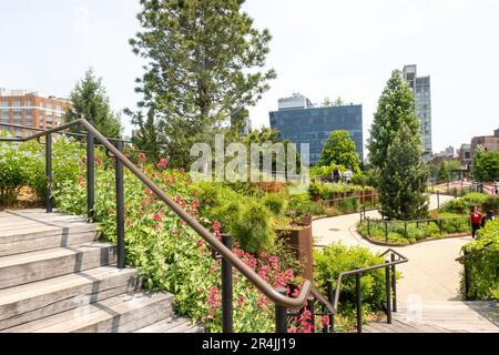 Little Island est une oasis urbaine unique située dans la région du parc de la rivière Hudson, 2023, New York City, États-Unis Banque D'Images