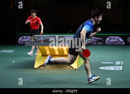 Durban, Afrique du Sud. 28th mai 2023. Le Fan Zhendong (R) de Chine réagit lors du match final des célibataires hommes contre son compatriote Wang Chuqin lors des finales des Championnats du monde de tennis de table 2023 de l'ITTF à Durban, en Afrique du Sud, en 28 mai 2023. Credit: Tao Xiyi/Xinhua/Alamy Live News Banque D'Images