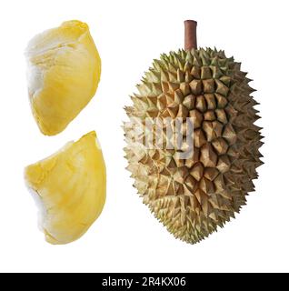 Fruits frais doux durian isolés sur fond blanc Banque D'Images