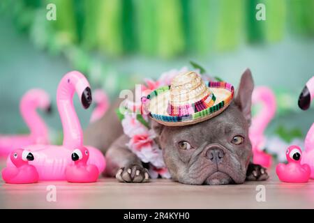 Chien Bulldog français drôle avec guirlande de fleurs tropicales, chapeau de paille d'été et flamants de caoutchouc en face de fond vert Banque D'Images