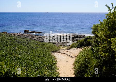 Sentier littoral océan plage mer à Talmont-Saint-Hilaire vendée Atlantique en france Banque D'Images