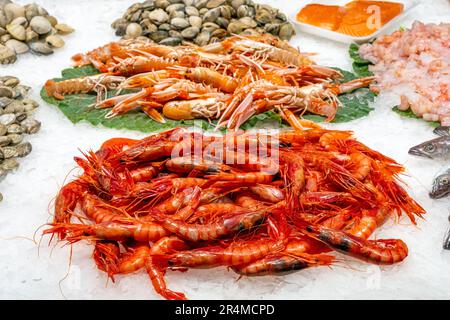 Crevettes fraîches à vendre sur un marché de Barcelone Banque D'Images