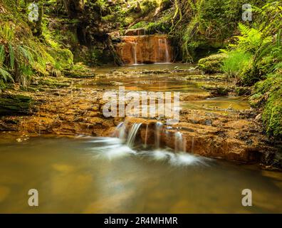 Petite cascade d'eau le long du ruisseau Willingford dans la forêt de Dallington, sur le haut weald, dans le sud-est de l'Angleterre, dans le Sussex de l'est Banque D'Images