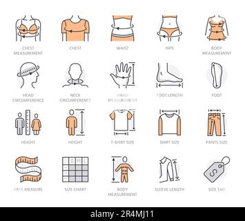 Ensemble d'icônes de taille de vêtements plates. Mesure du corps - circonférence de la taille, hanche, poitrine, longueur des manches, illustrations vectorielles de la hauteur. Présentez les affiches pour Illustration de Vecteur