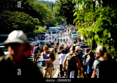 Les foules bordent l'autoroute Kamehameha pendant l'Invitational de Big Wave d'Eddie Aikau en 25th. La plus grande houle de la rive nord pendant 10 ans a amené des vagues de 30-50 pieds à Waimea Bay, à Hawaï. Banque D'Images