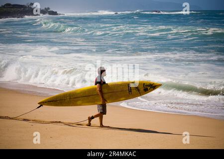 Clyde Aikau entre dans l'eau à l'Eddie Aikau 25th Big Wave Invitational. La plus grande houle de la rive nord pendant 10 ans a entraîné des vagues de 30-50 pieds à Waimea Bay, dans le nord Banque D'Images