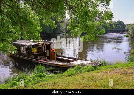 Un bateau de transport traditionnel en bois amarré sur les rives du vignoble Bouvet Ladubay, sur la rivière Thouet à Saumur, en France Banque D'Images