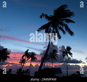 Silhouette de palmiers et petite île au coucher du soleil à Samoa Banque D'Images