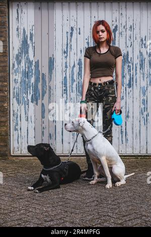 Jeune femme avec 2 grands chiens dans la ville Banque D'Images